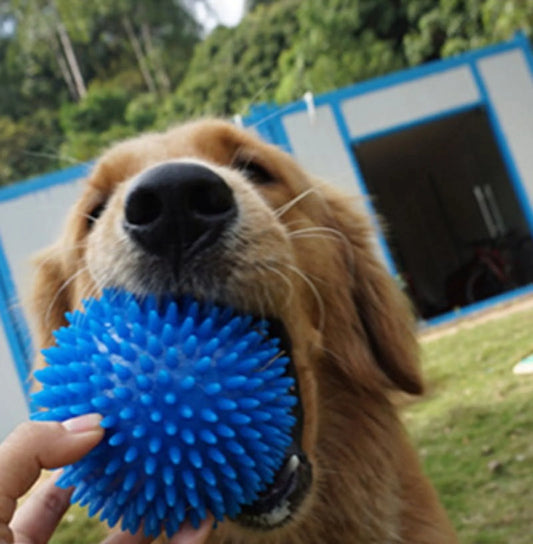 Dog Chew Toys, Fetch Spike Balls Squeaky Interactive Tooth Cleaning Teething Training Aggressive Chewer, Durable Rubber TPR for Small Medium Dog and Puppy (Large Size, Blue)