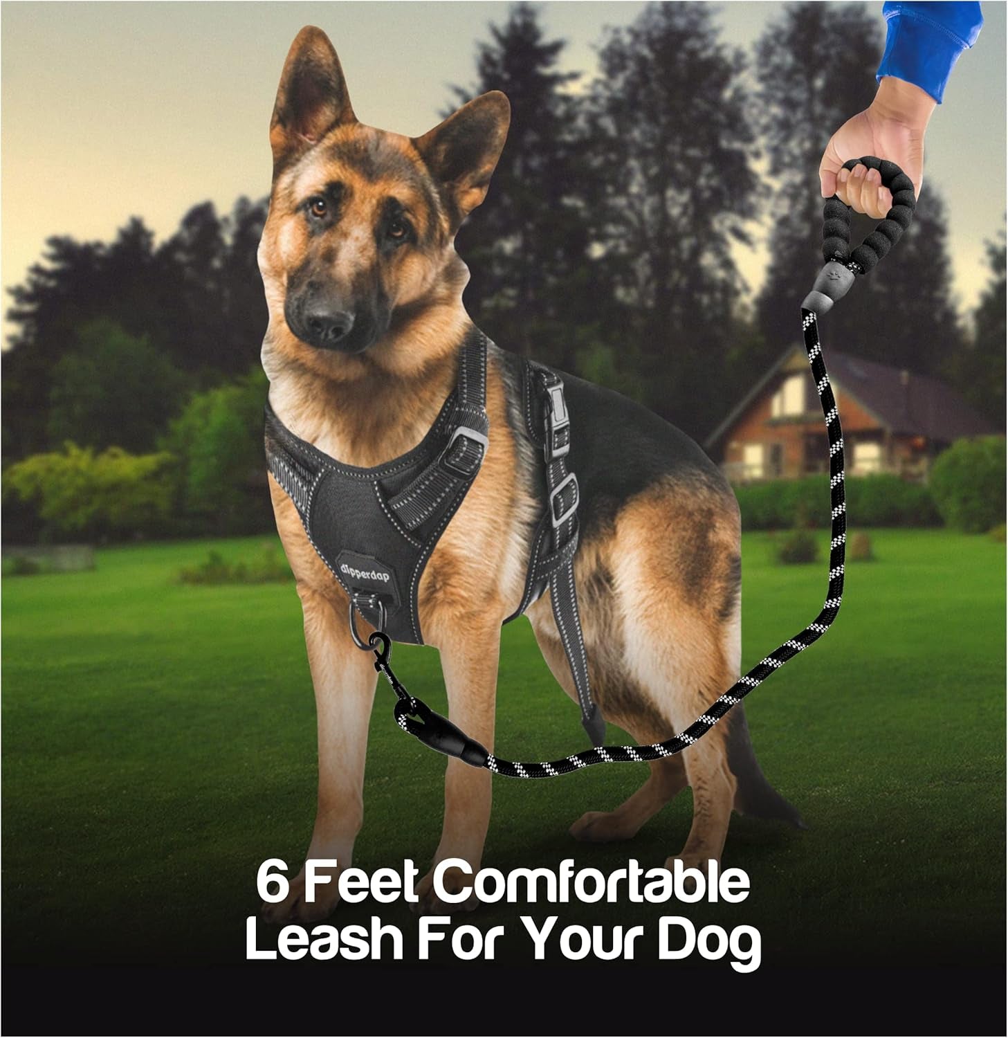 6-Foot Dog Leash Large Dogs with Soft Handle Reflective Leash for Large Breed Dogs | Dog Leash for Small Dogs, Leash for Dogs | Heavy-Duty Nylon Dog Leash for Small Dogs in Black or Purple (Black)