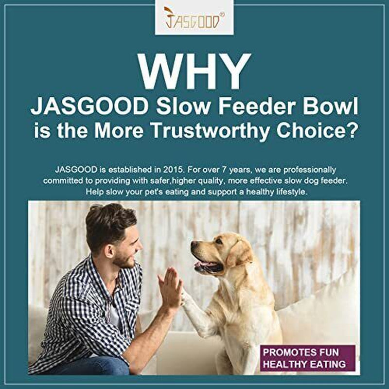 Slow Feeder Dogs Bowl for Large Dogs,Anti-Gulp